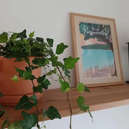 Апартаменты Le Balcon, Vue Panoramique Au Faron *