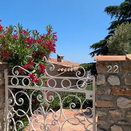 Le Balcon, Vue Panoramique Au Faron * ツーロン